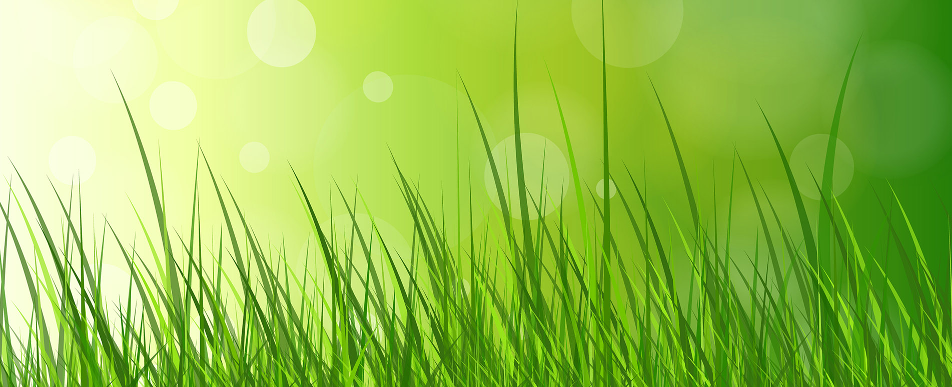 Banner - Hottgenroth Software GmbH & Co. KG