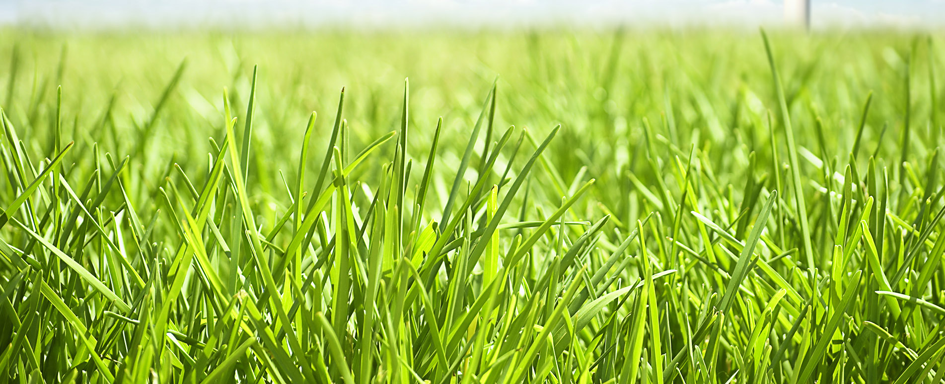 Banner - Hottgenroth Software GmbH & Co. KG